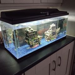 fish tank