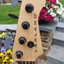 Lakland USA 44-14 Custom Image 8