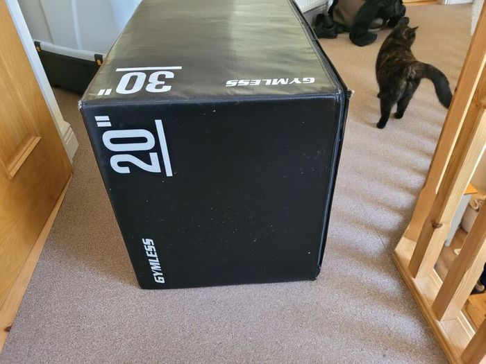 Padded plyo box | 20, 24, 30 inch | good used condition