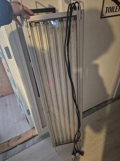 fish light