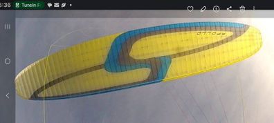 Paraglider