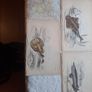 Vintage fish prints Image 5