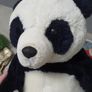 5 Extra Large Teddy Bears Good Condition Image 8