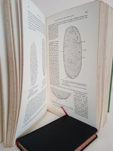 A General Textbook of Entomology: Including the Anatomy, Physiology, Development and Classification of Insects by O. W. Richards and R. G. Davies (RB363)