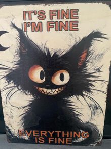 Cute funny Crazy Cat sign
