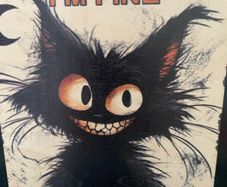 Cute funny Crazy Cat sign