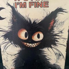 Cute funny Crazy Cat sign