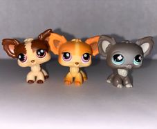 littlest pet shop (LPS) longhair chihuahua bundle!