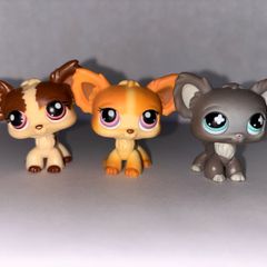 littlest pet shop (LPS) longhair chihuahua bundle!