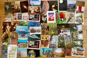 50 unused postcards