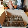 Set of 12 pint glasses Image 2