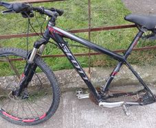 Scott bike