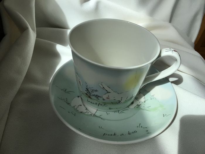 New Aynsley Breakfast Mug and Saucer in Rabbits Pet Collection