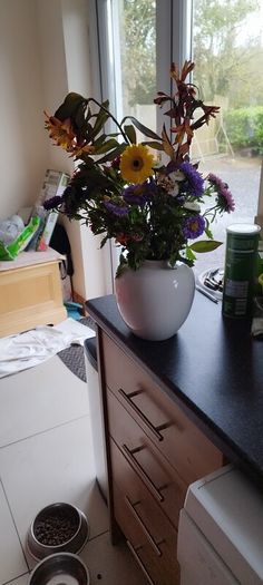 vases