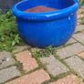 garden Image 2