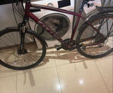 carrera bike