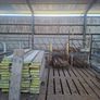 Scaffolding Image 3