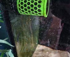 Aquarium Nori Feeder
