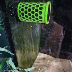 Aquarium Nori Feeder