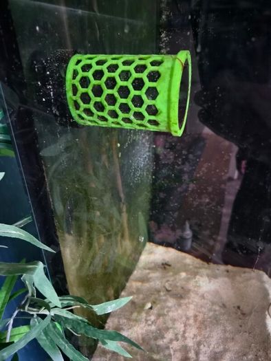 Aquarium Nori Feeder