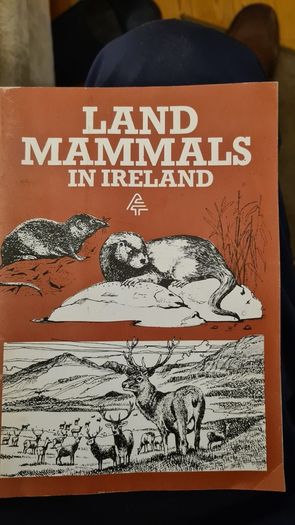 Land Mammals In Ireland. Issued By Forest And Wildlife Service. Leesonane Dublin. Booklet.1986.