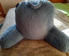 REDUCED PRICE Mallard Support pillow. BN