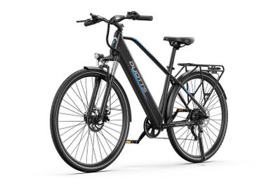 Duotts C29 Lite Electric Bike