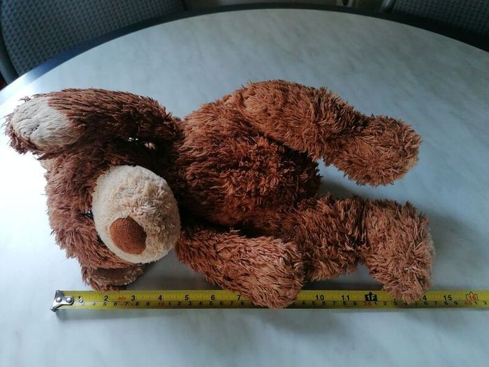 Teddy Bear