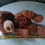 Teddy Bear Image 2