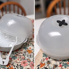 Microwave Steriliser