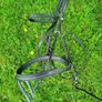 Shockemohle Bridle Head BLK Full Image 2