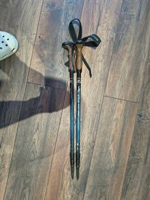 Hiking sticks