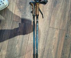 Hiking sticks