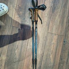 Hiking sticks