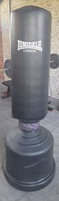 Freestanding Punching (boxing) bag