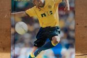 The Official Celtic Annual 2001