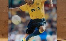The Official Celtic Annual 2001
