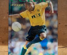 The Official Celtic Annual 2001
