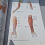 Dance Anatomy Image 8