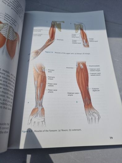 Dance Anatomy