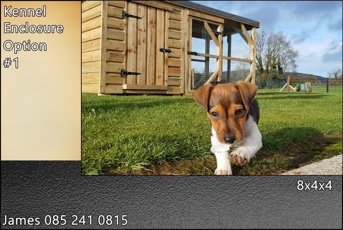 Dog Kennel & Enclosure
