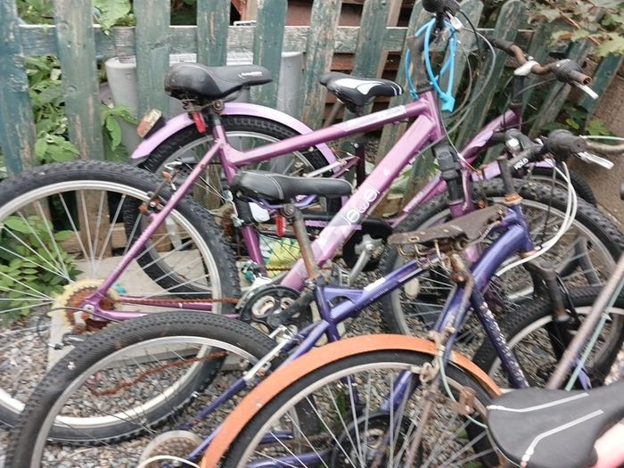 bikes