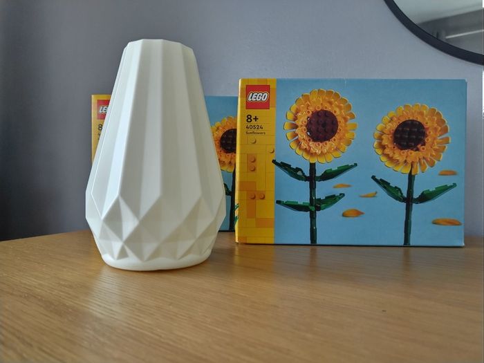 LEGO Botanicals Flower Sets