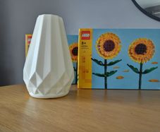LEGO Botanicals Flower Sets
