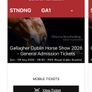 Dublin horse show tickets for today Image 2