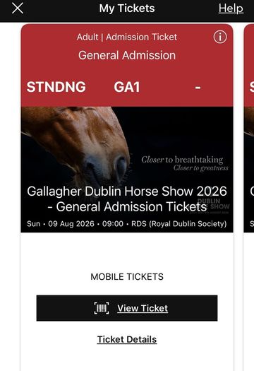 Dublin horse show tickets for today
