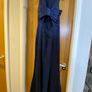 Coast Dress Navy Image 3