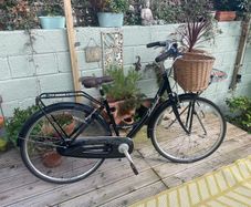 Ladies Rayleigh Elegance Bicycle