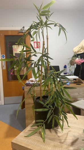 Collection of fake plants and pots