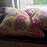 Two Cushions Image 4